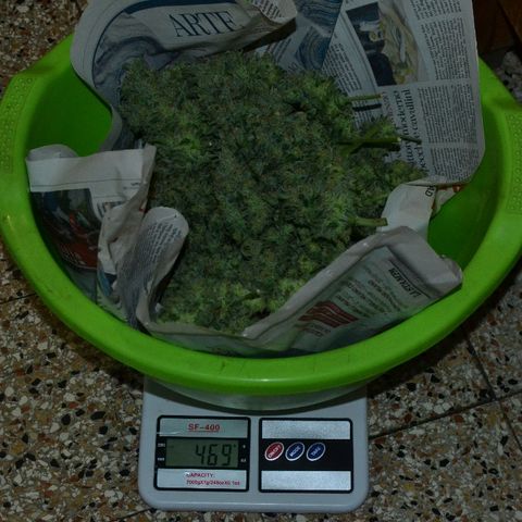 Think different growlog timeline photo