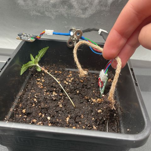 Fangorn growlog photo: 20:36 Fangorn instabil