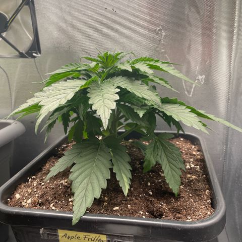 Steve growlog photo: 09:43