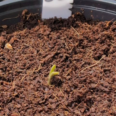 B2 growlog timeline photo