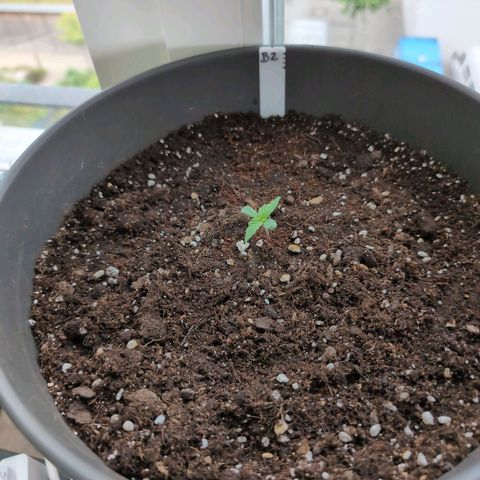 B2 growlog timeline photo