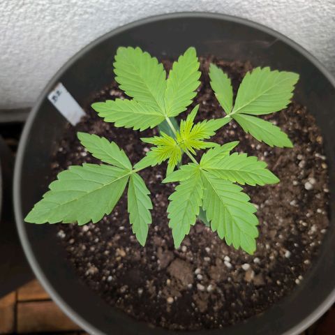 B2 growlog timeline photo