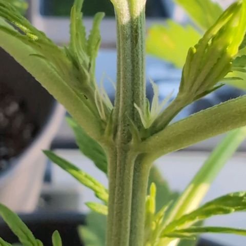 B2 growlog timeline photo