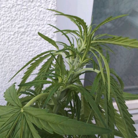 B2 growlog timeline photo