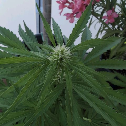 B2 growlog timeline photo
