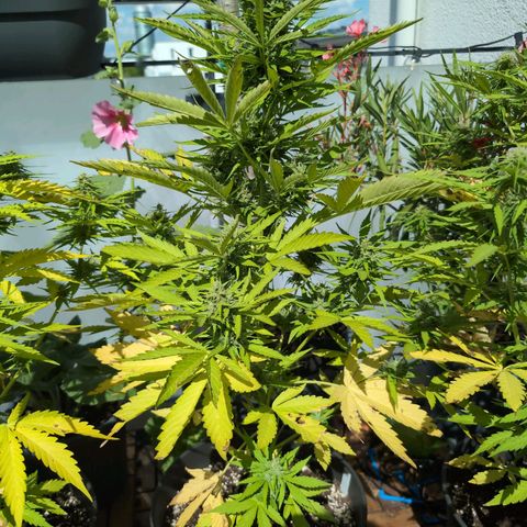 B2 growlog timeline photo