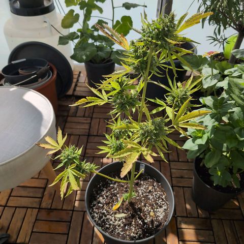 B2 growlog timeline photo