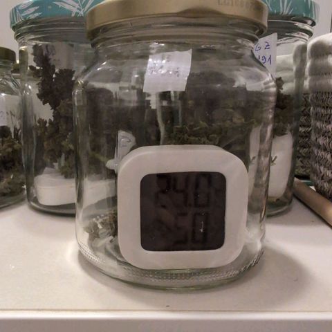 B2 growlog timeline photo