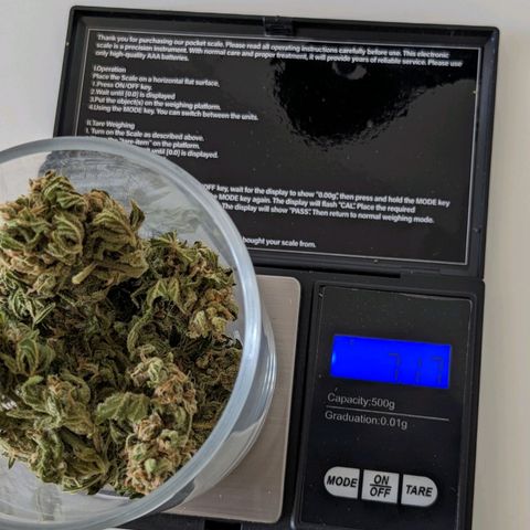 Eleanor growlog timeline photo