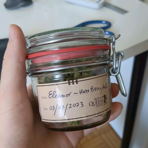 Eleanor growlog timeline photo