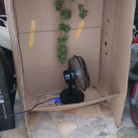 Juliet growlog timeline photo