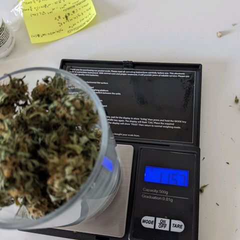 Juliet growlog timeline photo