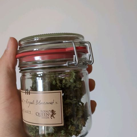 Juliet growlog timeline photo