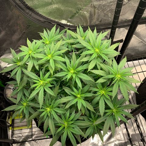Zen growlog photo: All Mine!!