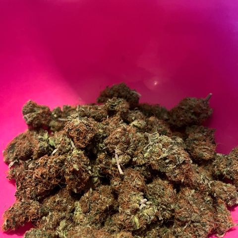 Triple Cheese #3 growlog photo: 42,5g, smelling Great! Now getting cured