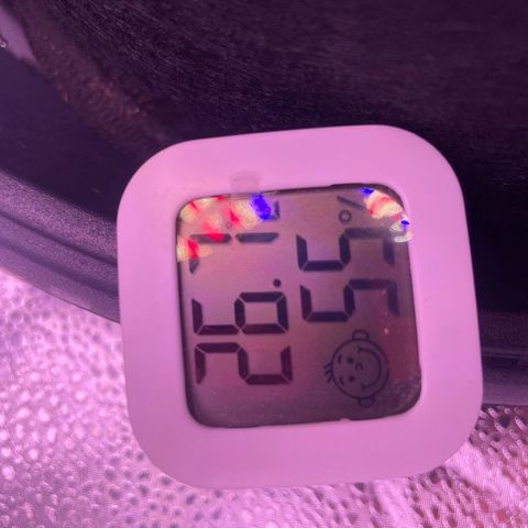 Wappa growlog timeline photo