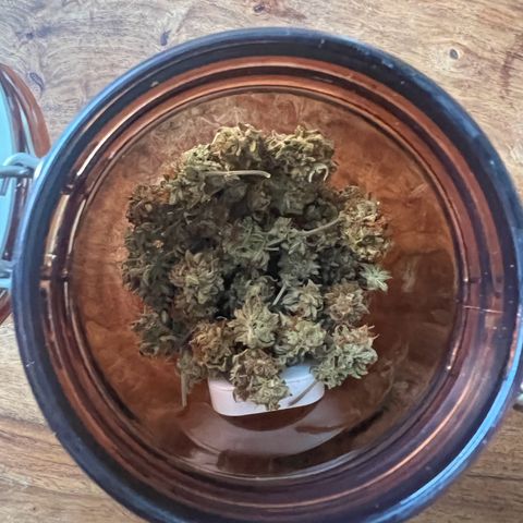 Wappa growlog photo: 85g of wappa 