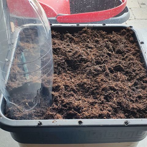 Rhino Ryder growlog photo: Mis en terre