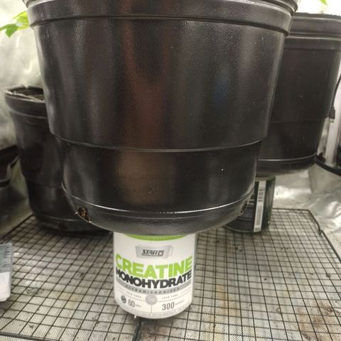 Poddy Mouth  growlog timeline photo