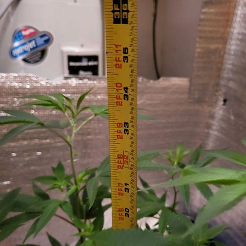 Bitter growlog photo: Snapping out of shock