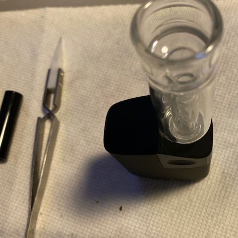 Gorilla Glue AutoFlower growlog timeline photo