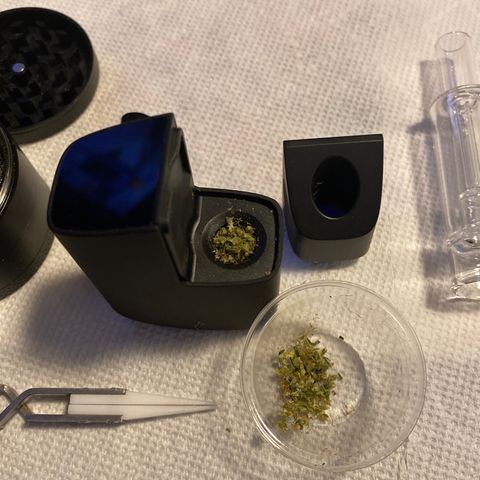 Gorilla Glue AutoFlower growlog timeline photo