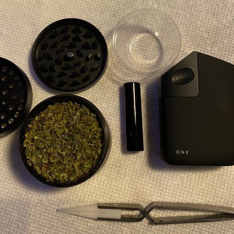 Gorilla Glue AutoFlower growlog timeline photo