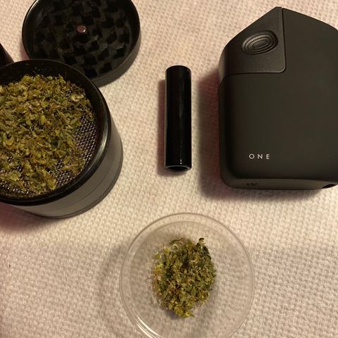 Gorilla Glue AutoFlower growlog timeline photo