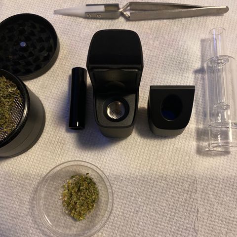 Gorilla Glue AutoFlower growlog timeline photo