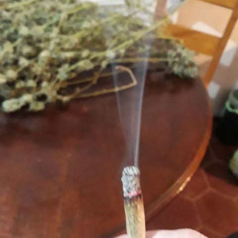 Og24k E2 growlog timeline photo