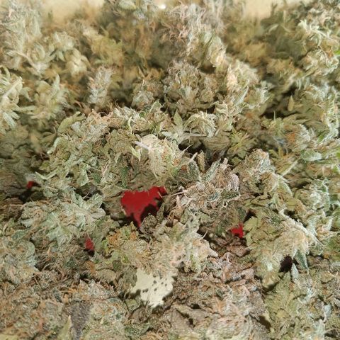 Wedding Cake growlog timeline photo