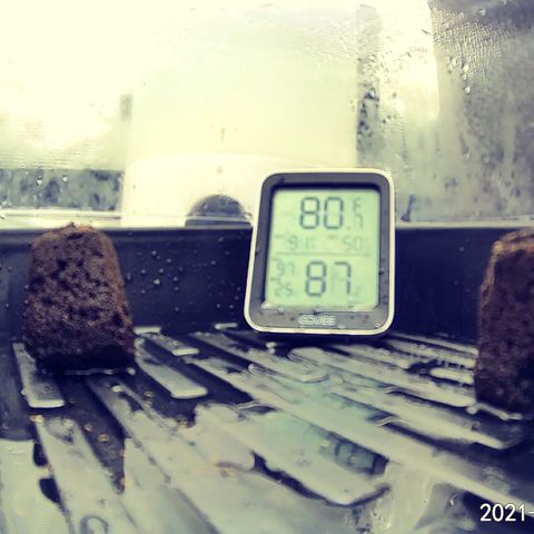 Rita growlog timeline photo