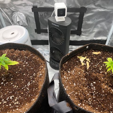 Rita growlog timeline photo