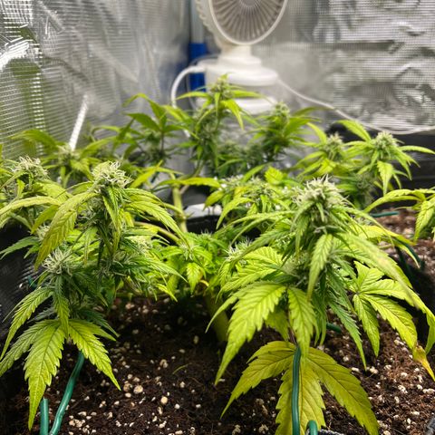 Rita growlog timeline photo