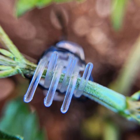 BB- G13 growlog timeline photo