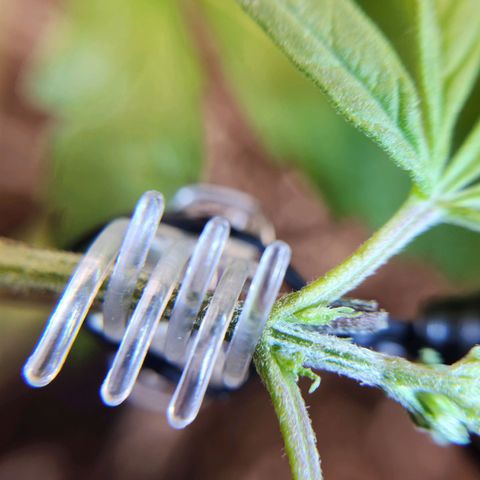 BB- G13 growlog timeline photo