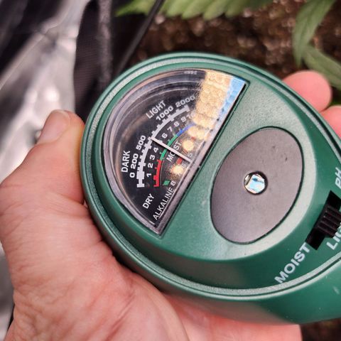 BB- G13 growlog photo: Light and soil moisture/ph read