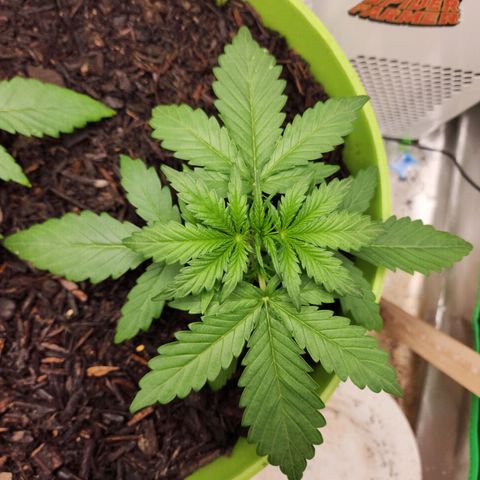 Tak growlog timeline photo