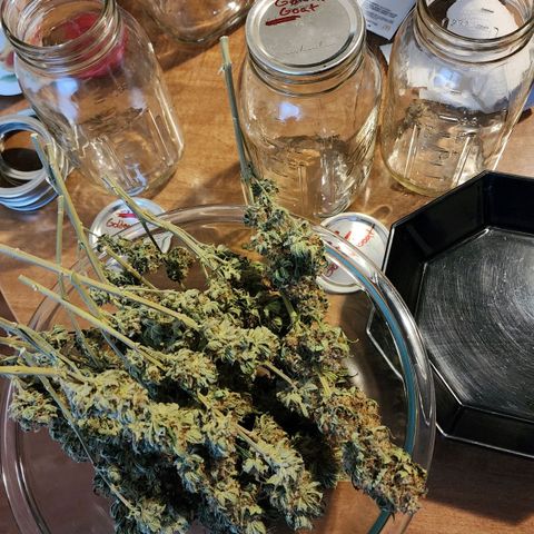 The Magus growlog photo: All in all, 83.55 grams! Not so much as I hoped, but still magnificent! 