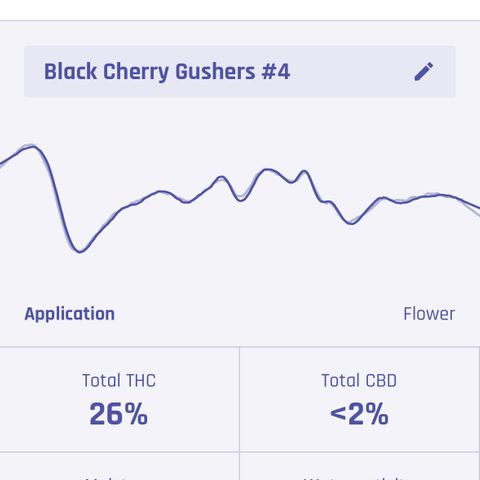 Black Cherry Gushers #4 growlog photo: Purple Pro Test
