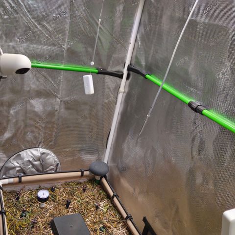 Zuminati #1 growlog photo: Zelt geputzt und Kleinigkeiten an der Abluft oben optimiert. Zudem Cover Crop ausgesät. 