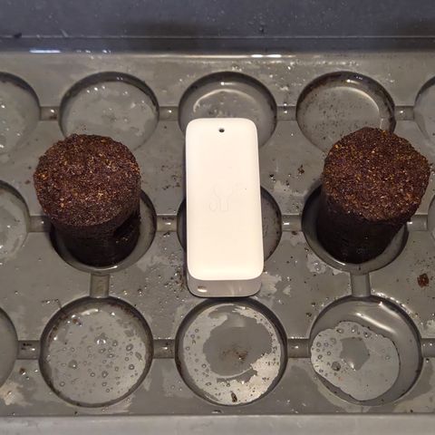 Zuminati #1 growlog timeline photo