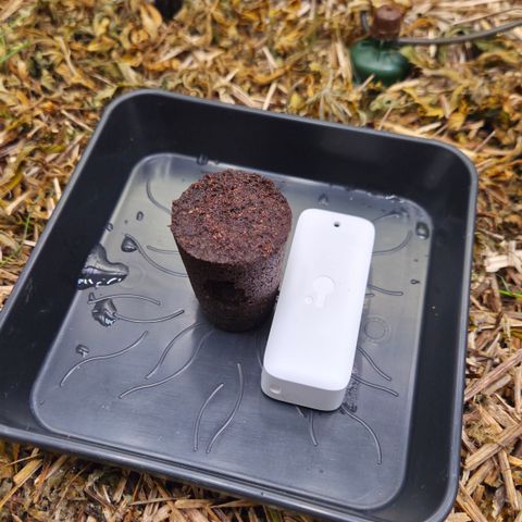 Zuminati #1 growlog timeline photo