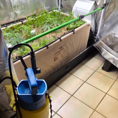 Zuminati #1 growlog timeline photo