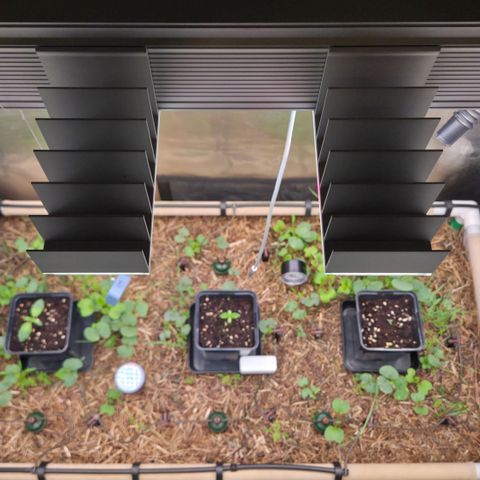 La Bomba #1 growlog timeline photo