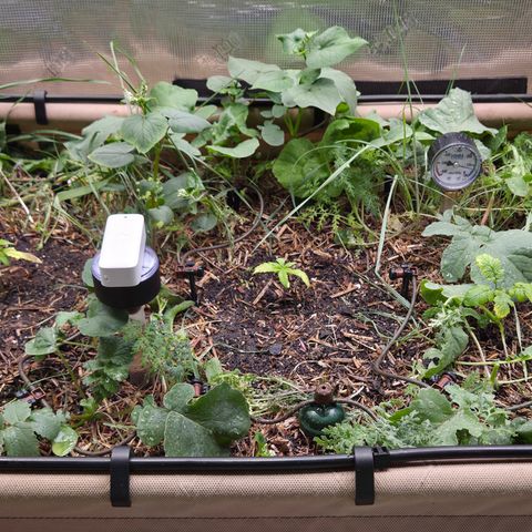 La Bomba #1 growlog timeline photo