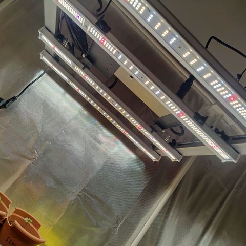Arjan's Haze #3 growlog photo: Installed new led lighting