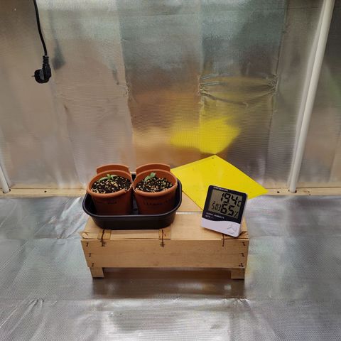 Arjan's Haze #3 growlog photo: 19.5°C