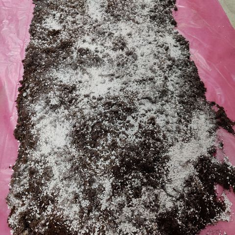 Arjan's Haze #3 growlog photo: Flipped to Veg by repotting in 30litres pot
Mixed 50L Biocanna terra with 5L perlite.
Light same height at 12"
RH 60%
Temp 21°C