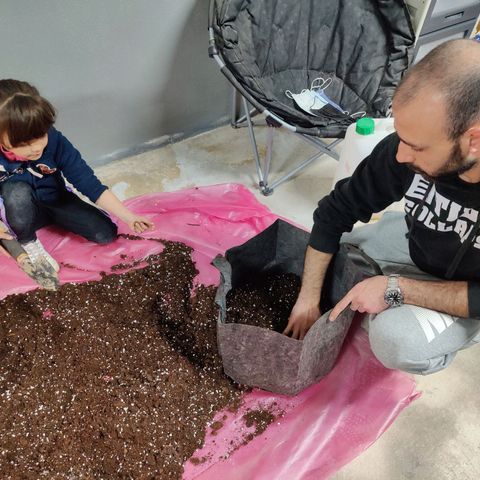 Arjan's Haze #3 growlog photo: Flipped to Veg by repotting in 30litres pot
Mixed 50L Biocanna terra with 5L perlite.
Light same height at 12"
RH 60%
Temp 21°C